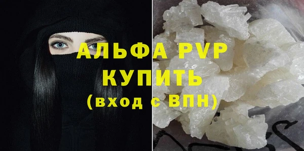 гидра Белокуриха