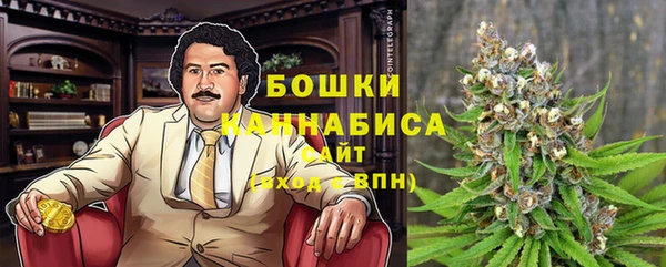 гидра Белокуриха