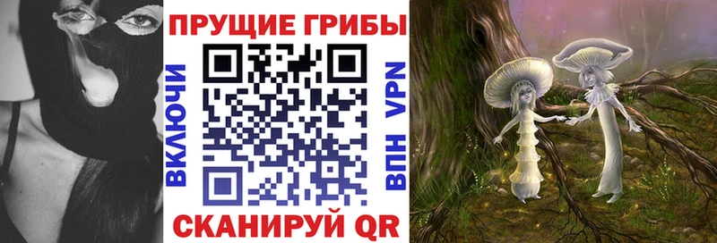 Галлюциногенные грибы Psilocybe  Ковылкино 